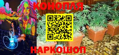 spice Балаково