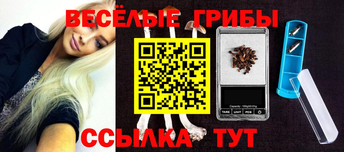 Берёзовский  где можно купить   Вход с VPN  Псилоцибиновые грибы GOLDEN TEACHER 